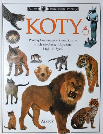 Koty - Juliet Clutton-Brock