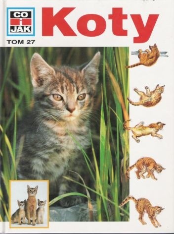 Koty - Rainer Köthe