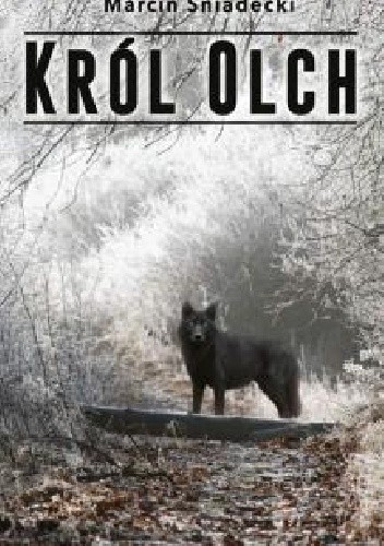 Król Olch - Marcin Śniadecki