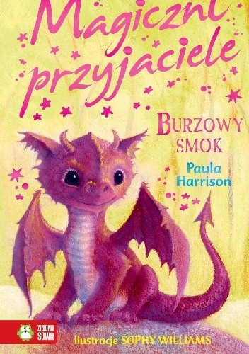 Magiczni przyjaciele. Burzowy smok - Paula Harrison