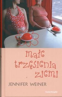 Małe trzęsienia ziemi - Jennifer Weiner