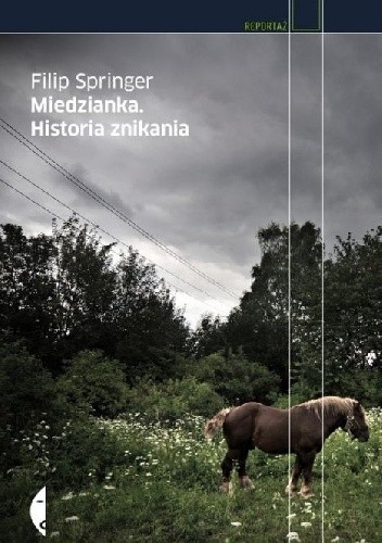 Miedzianka. Historia znikania - Filip Springer