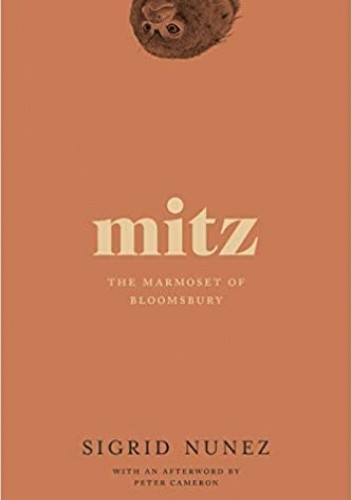 Mitz: The Marmoset of Bloomsbury - Sigrid Nunez
