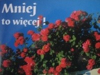 Mniej to więcej! - praca zbiorowa