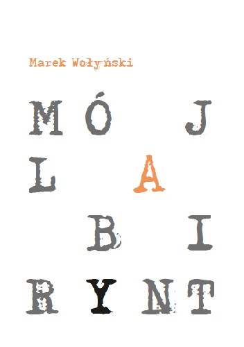 Mój labirynt - Marek Wołyński
