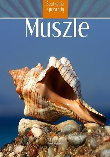 Muszle - Rafał Wąsowski