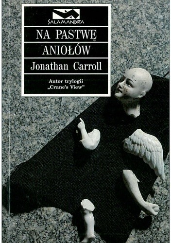 Na pastwę aniołów - Jonathan Carroll