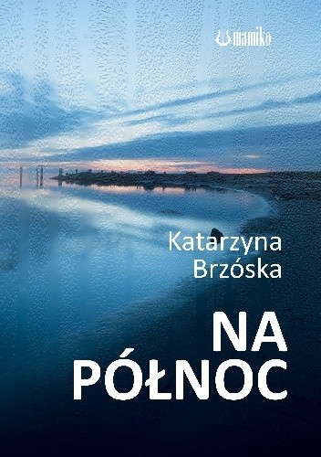 Na północ - Katarzyna Brzóska