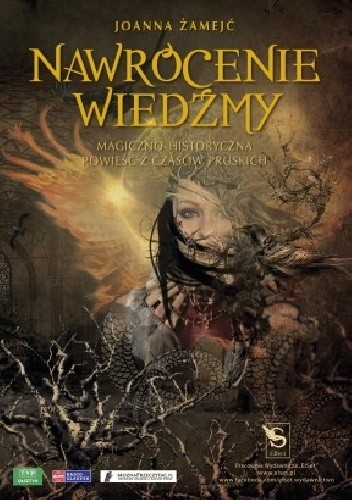 Nawrócenie wiedźmy - Joanna Żamejć