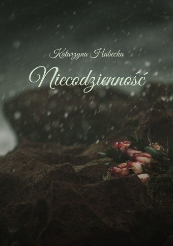 Niecodzienność - Katarzyna Habecka