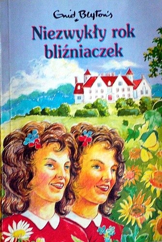 Niezwykły rok bliźniaczek - Enid Blyton