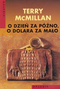 O dzień za późno, o dolara za mało - Terry McMillan