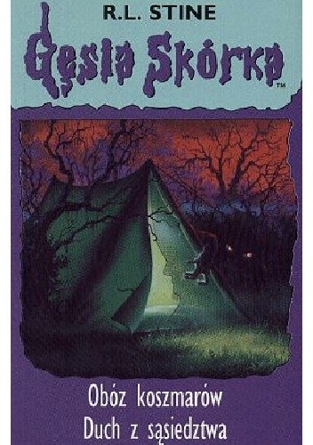Obóz koszmarów. Duch z sąsiedztwa - R. L. Stine