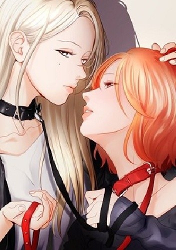 Pet's Aesthetics - Team Gaji