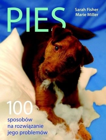 Pies. 100 sposobów na rozwiązanie jego problemów - Sarah Fisher