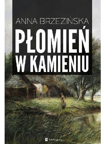Płomień w kamieniu - Anna Brzezińska