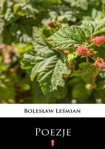 Poezje. Wybór - Bolesław Leśmian