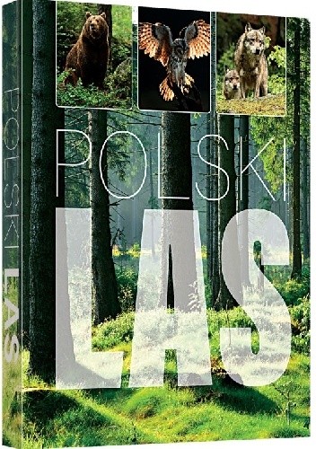 Polski las - Piotr Kapusta