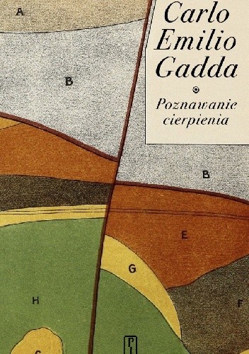 Poznawanie cierpienia - Carlo Emilio Gadda