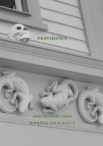 Providence: Opatrznościowa książka do pisania - Agnieszka Taborska