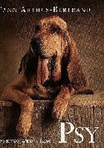 Psy - Yann Arthus-Bertrand