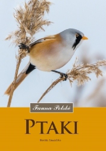 Ptaki - Dorota Zawadzka