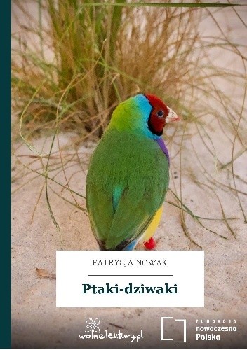 Ptaki - dziwaki - Nowak Patrycja