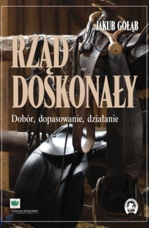Rząd doskonały. Dobór, dopasowanie, działanie - Jakub Gołąb