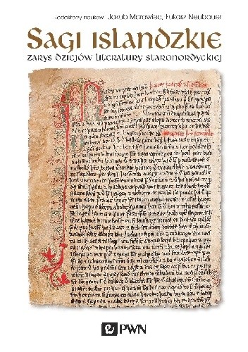 Sagi islandzkie. Zarys dziejów literatury staronordyckiej - Jakub Morawiec
