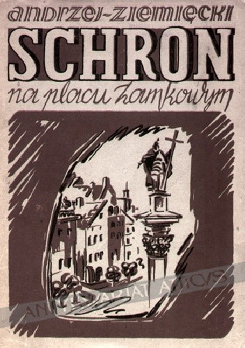 Schron na placu zamkowym - Andrzej Ziemięcki