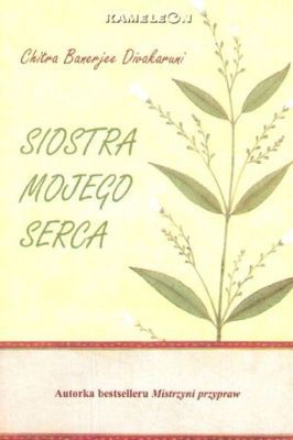 Siostra mojego serca - Chitra Banerjee Divakaruni