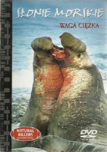 Słonie morskie - waga ciężka - redakcja DVD