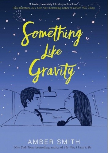 Something Like Gravity - Amber Smith