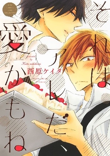Sore wa Are da, Ai Kamo ne - Keita Nishihara