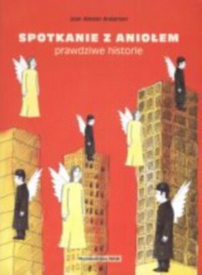 Spotkanie z aniołem-prawdziwe historie - Joan Wester Anderson