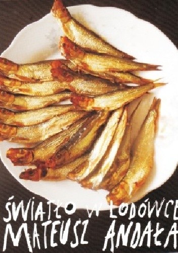Światło w lodówce - Mateusz Andała
