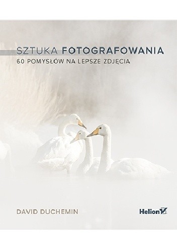 Sztuka fotografowania. 60 pomysłów na lepsze zdjęcia - David duChemin