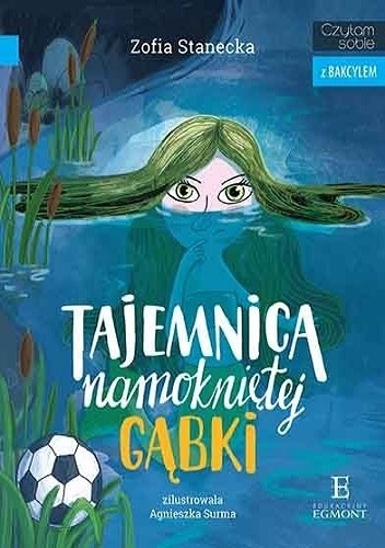 Tajemnica namokniętej gąbki - Zofia Stanecka