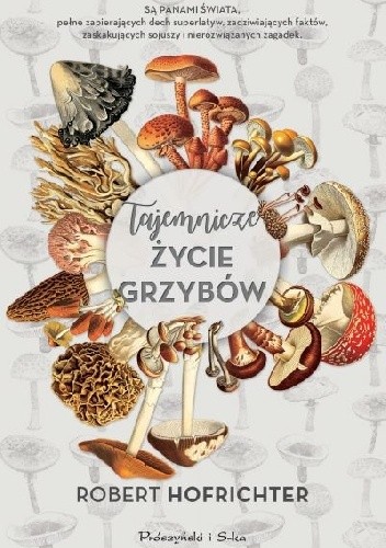 Tajemnicze życie grzybów - Robert Hofrichter
