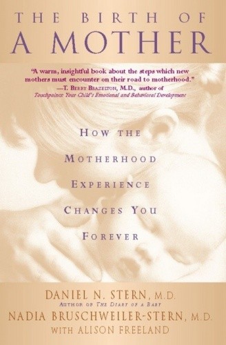 The Birth Of A Mother: How The Motherhood Experience Changes You Forever - Daniel N. Stern