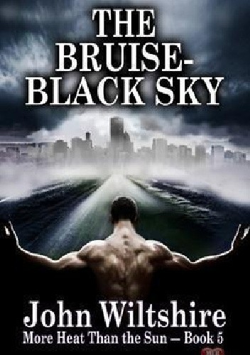 The Bruise-Black Sky - John Wiltshire