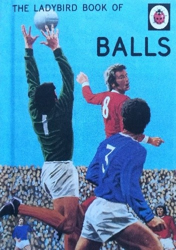 The Ladybird Book of Balls - J.A. Hazeley
