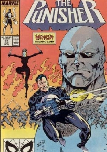 The Punisher Vol.2 #22 - Mike Baron