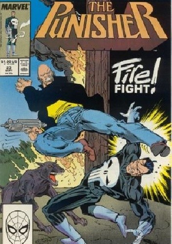 The Punisher Vol.2 #23 - Mike Baron