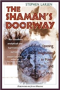 The Shaman's Doorway: Opening Imagination to Power and Myth - Stephen Larsen