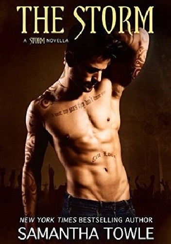 The Storm - Samantha Towle