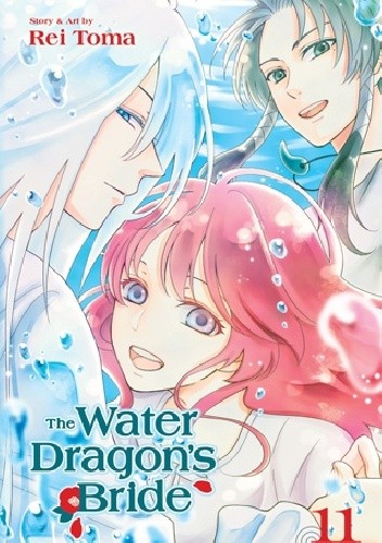 The Water Dragon’s Bride, Vol. 11 - Rei Toma
