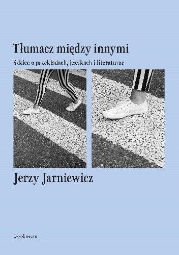 Tłumacz między innymi. Szkice o przekładach, językach i literaturze - Jerzy Jarniewicz
