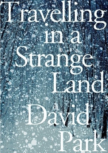 Travelling in a Strange Land - David Park