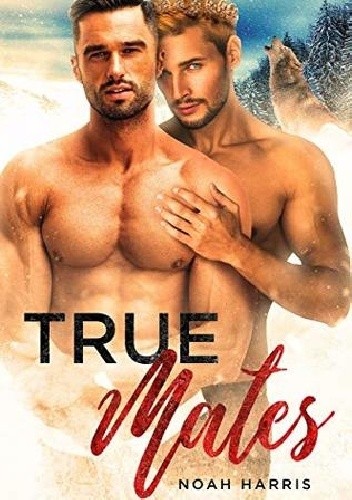 True Mates - Noah Harris